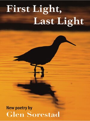 cover image of First Light, Last Light